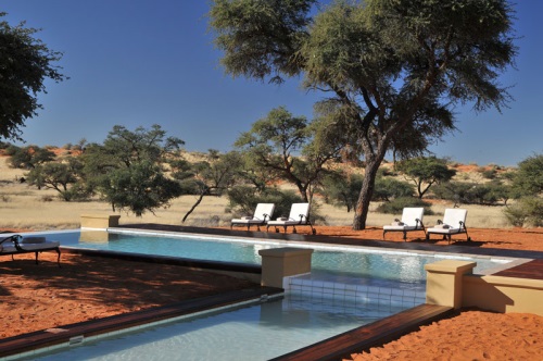 Intu Afrika Zebra Lodge 005